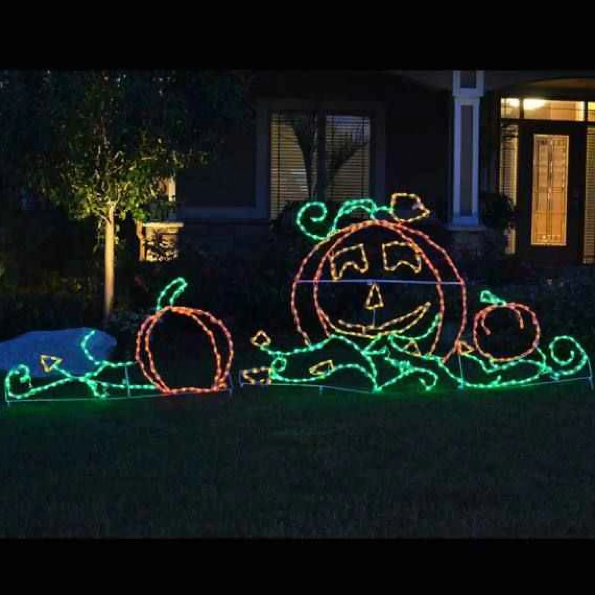 Brite Ideas Led Pumpkin Patch #Led-Ppatch